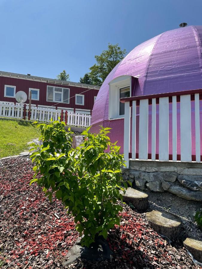 Dirndlhaus Lejlighed Kirchberg an der Pielach Eksteriør billede
